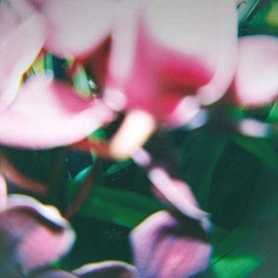 Trade Wind - You Make Everything Disappear 1CD