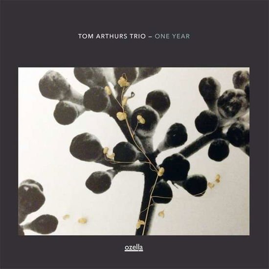 Tom -Trio- Arthurs - One Year 1CD