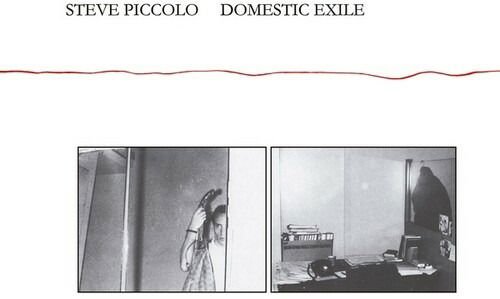 Steve Piccolo - Domestic Exile 1CD