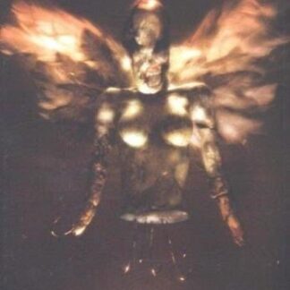 Velvet Acid Christ - Hex Angel Limited Box Edition 1CD