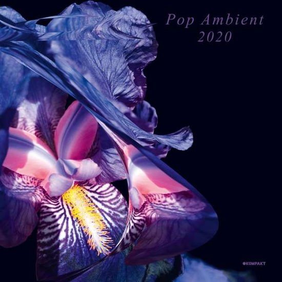 Compilation - Pop Ambient 2020 1CD