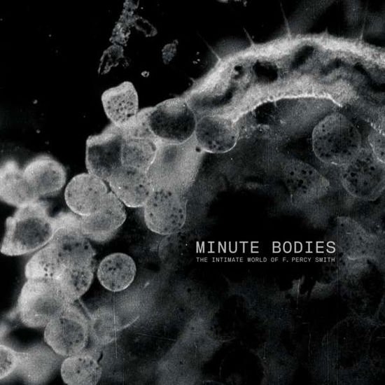 Tindersticks - Minute Bodies: the Intimate World of F. Percy Smith (DVD is Pal Format) DVD