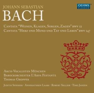 Arcisvocalistsgropper - Js Bachcantatas 1CD
