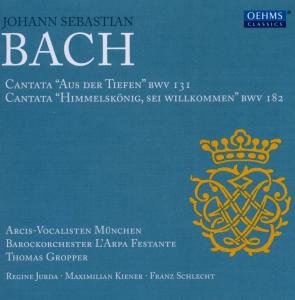 Bach,j.s. / Arcis Vocalisten / Gropper / Boaf - Cantatas for Solo Choir & Orchestra 1CD