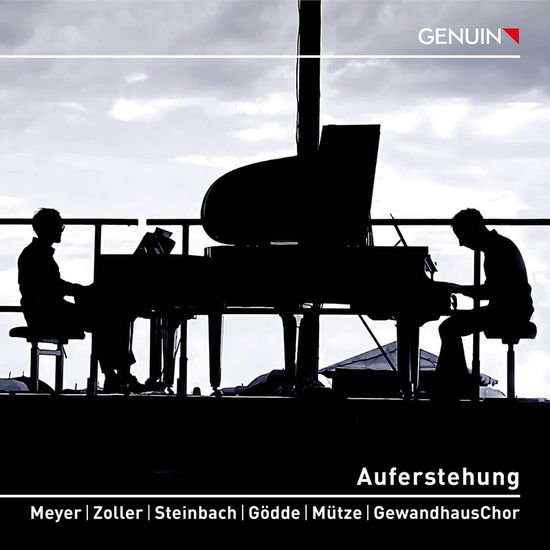 Mahler / Meyer / Zoller - Auferstehung 1CD