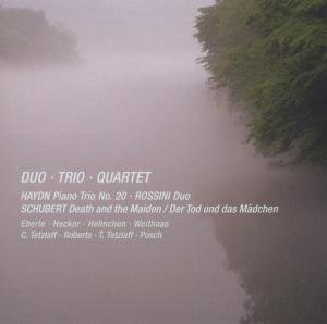 Haydn - Piano Trio In B Flat / Duo For Cello 1CD