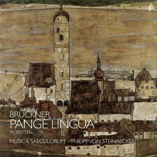 VON STEINAECKER/MUSICA SAECULO PANGE LINGUA - MOTETS  (LIVE R CD