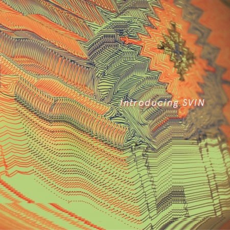 Svin - Introducing Svin 1CD