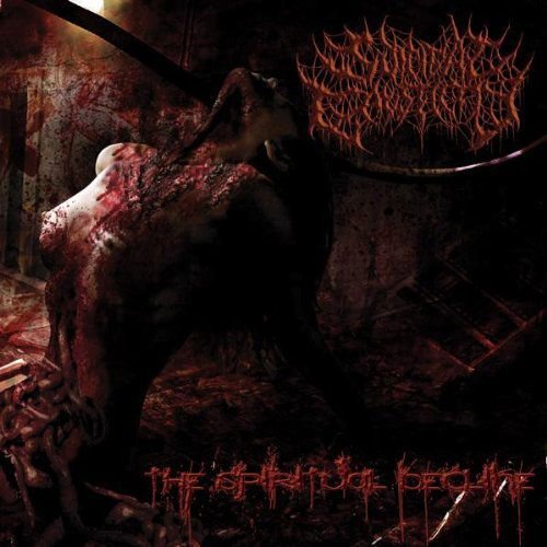 Suicidal Causticity - The Spiritual Decline 1CD
