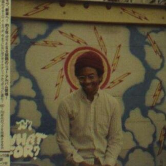 Toro Y Moi - What For 1CD