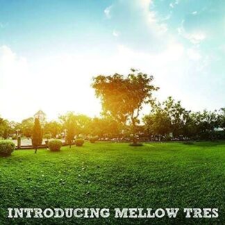 Introducing Mellow Tres / Various - Introducing Mellow Tres / Various 1CD