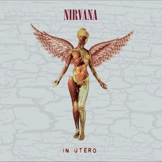 Nirvana - In Utero - 30th Anniversary 1CD