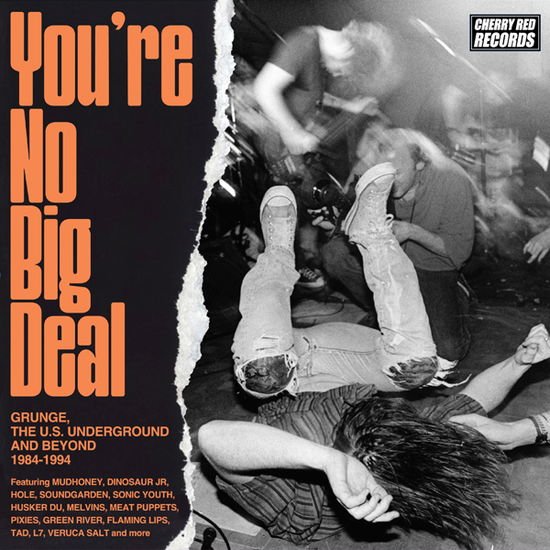 You're No Big Deal: Grunge Us Underground & Beyond - You're No Big Deal - Grunge, the U.s. Underground and Beyond 1984-1994 (4cd Clamshell Box) 4CD