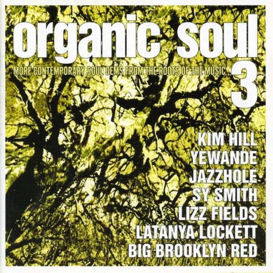 Compilation - Organic Soul 3 / Various 1CD