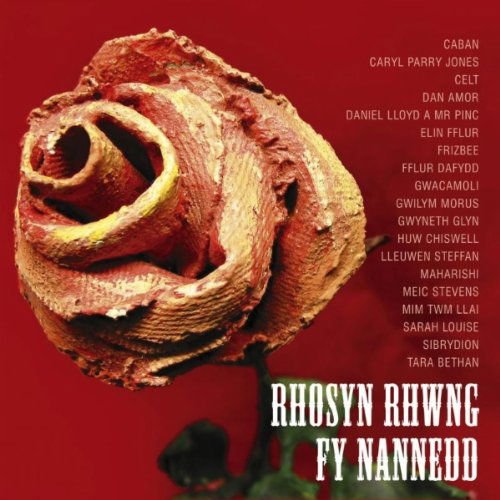 RHOSYN RHWNG FY NANNEDD VARIOUS CD