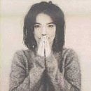 Bjork - Debut 1-CD