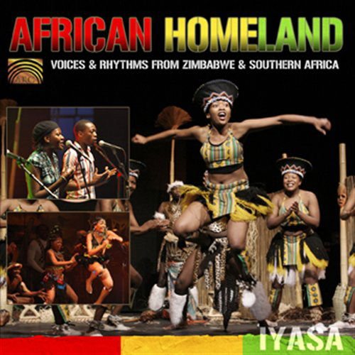 Compilation - African Homeland 1CD