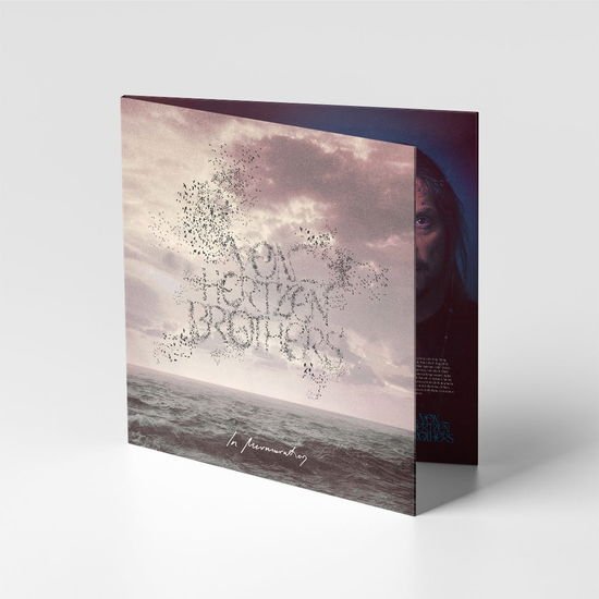 Von Hertzen Brothers - In Murmuration 1CD