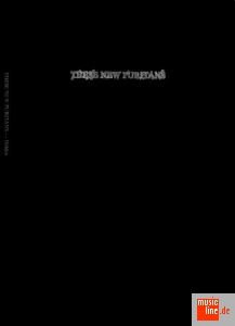 These New Puritans - Hidden 1CD