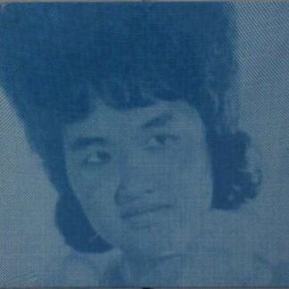 Compilation - Wounds Of Love: Khmer Oldies / Vol. 2 1CD