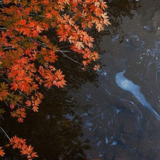 MARTIN ARCHER & ENGINE ROOM FA BAD TIDINGS FROM SLACKWATER DR CD