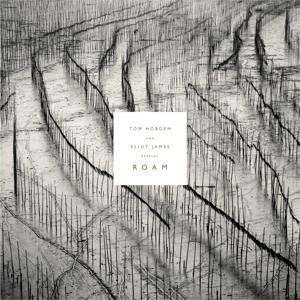 Tom Hobden & Eliot James - Tom Hobden & Eliot James Present: Roam 1CD
