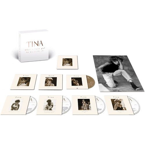 Tina Turner - What's Love Got to Do with It DVD