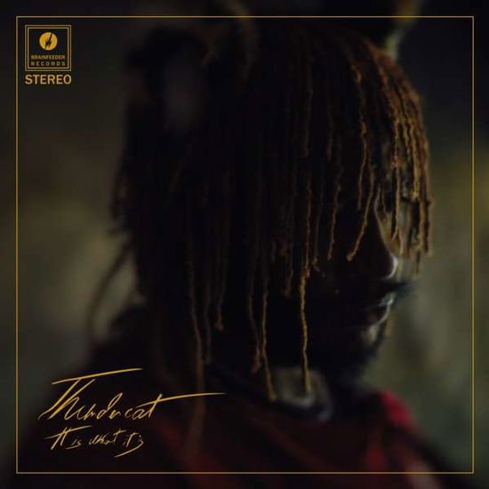 Thundercat - It Is What It Is 1CD