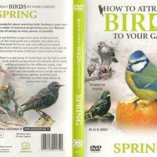 How To Attract Birds To Your Garden Spri 1CD