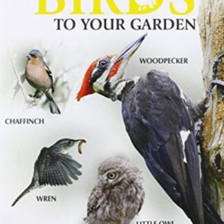 How To Attract Birds To Your Garden Summ 1CD