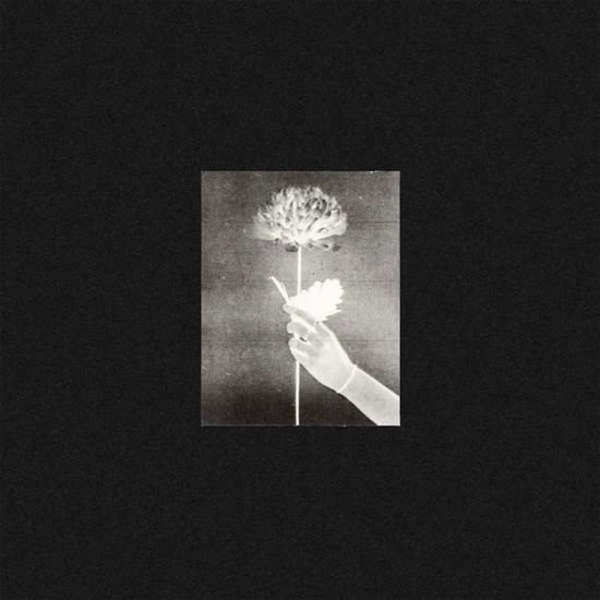 White Flowers - Day By Day 1CD