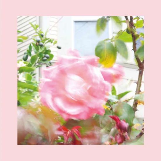 Reds. Pinks and Purples - Summer At Lands End 1CD