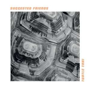 Suggested Friends - Turtle Taxi 1CD