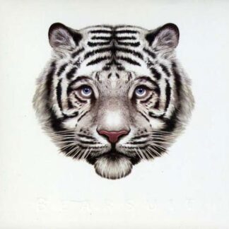 BEARSUIT THE PHANTOM FOREST03-11CC CD