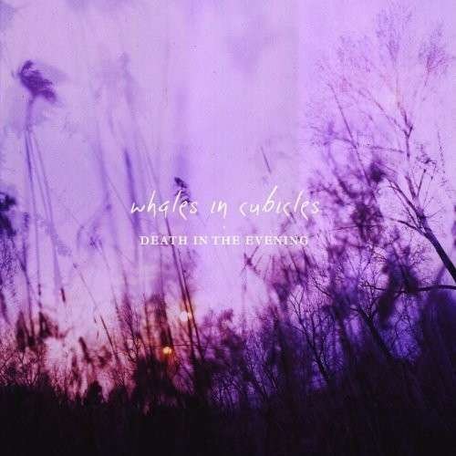 Whales in Cubicles - Death In The Evening 1CD
