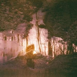 Wren - Auburn Rule 1CD