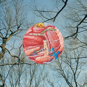 They Might Be Giants - Glean 1CD