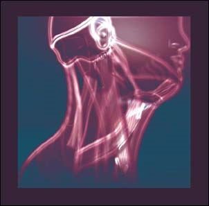 Tales Of Murder And Dust - The Flow In Between 1CD