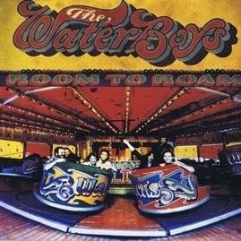 The Waterboys - Room To Roam 2CD