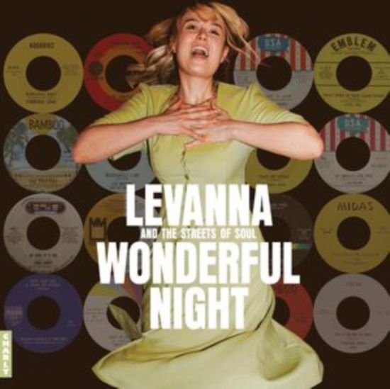 Wonderful Night Curated by Levanna / Various - Wonderful Night Curated By Levanna 1CD