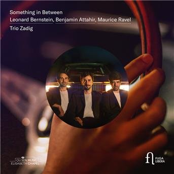 Trio Zadig - Something In Between 1CD