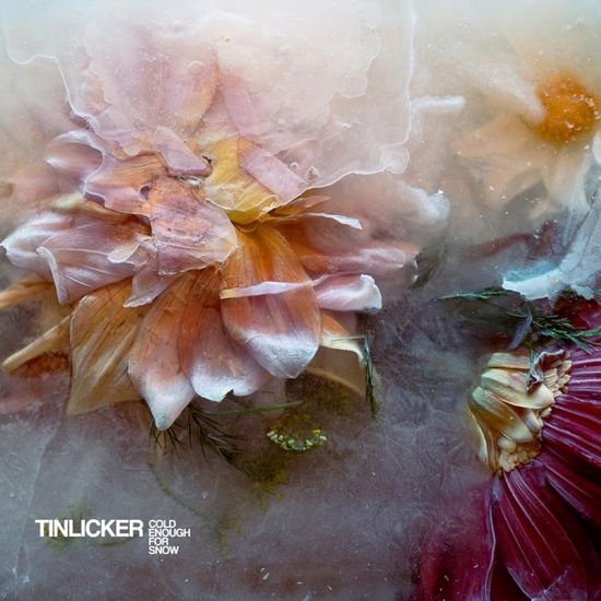 Tinlicker - Cold Enough For Snow Mountain 1CD