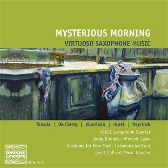 Academy New Music - Mysterious Morning 1CD