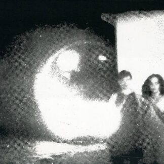 OTHER LIVES TAMER ANIMALS CD