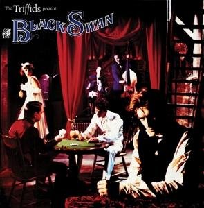 Triffids - The Black Swan 2CD