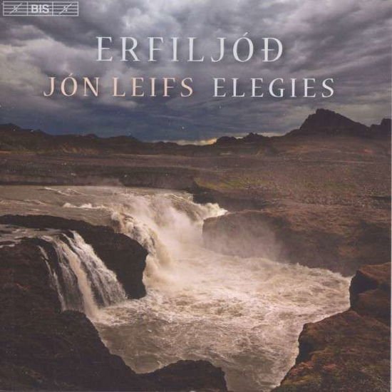 REYKJAVIK COWILKINSON Leifselegies CD