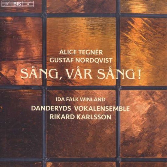 Nordqvist,g. / Karlsson,rikard / Olund,anders - Tegner & Nordqvist: Song Our Song 1CD