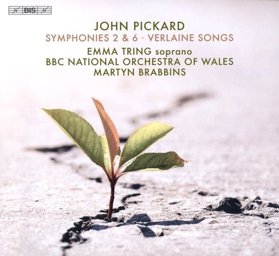 Bbc National Orchestra Of Wales - John Pickard: Symphonies 2 & 6, Verlaine Songs 1CD