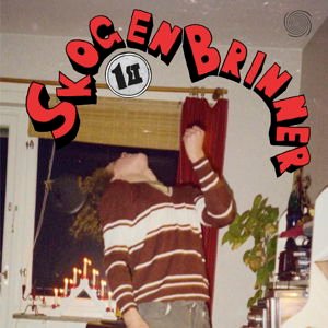 Skogen Brinner - 1St 1CD