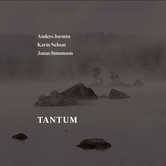Bach,j.s. / Jormin / Simonson - Tantum 1CD
